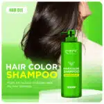 Hair Dye Shampoo1403