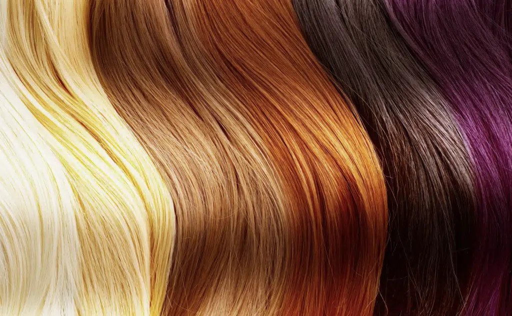 Classify Each Type Of Hair Color