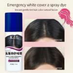 Hair Complementary Colour Spray 003
