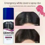 Hair Complementary Colour Spray 003