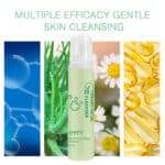 Cleansing Mousse 04