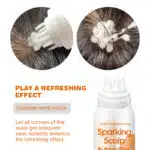 Hair Growth Biotin Mousse 4