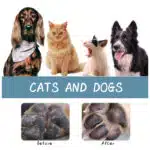 pet bath spray03