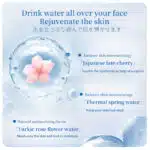 Hyaluronic Acid Serum Mist (4)