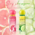 Light Hair Dry Spray (1)